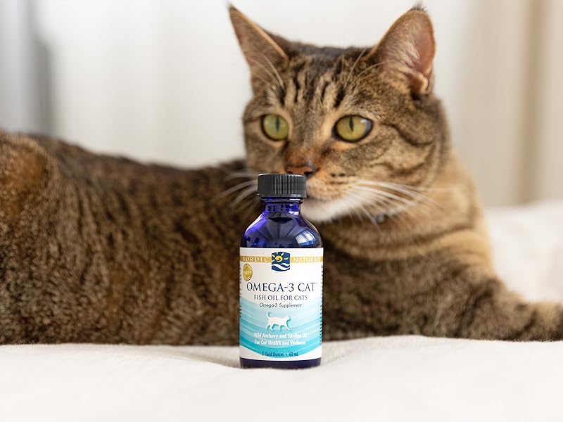 Omega-3 Cat