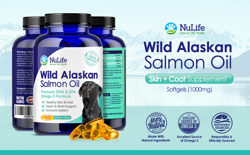 Salmon Oil For Dogs