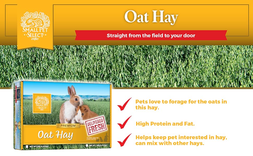 High protein and fat. Great for foraging.