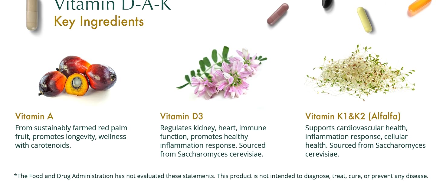 Module 5 - Ingredients