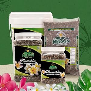plumeria plant food