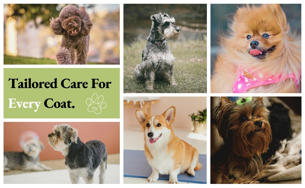 tailored care for every coat