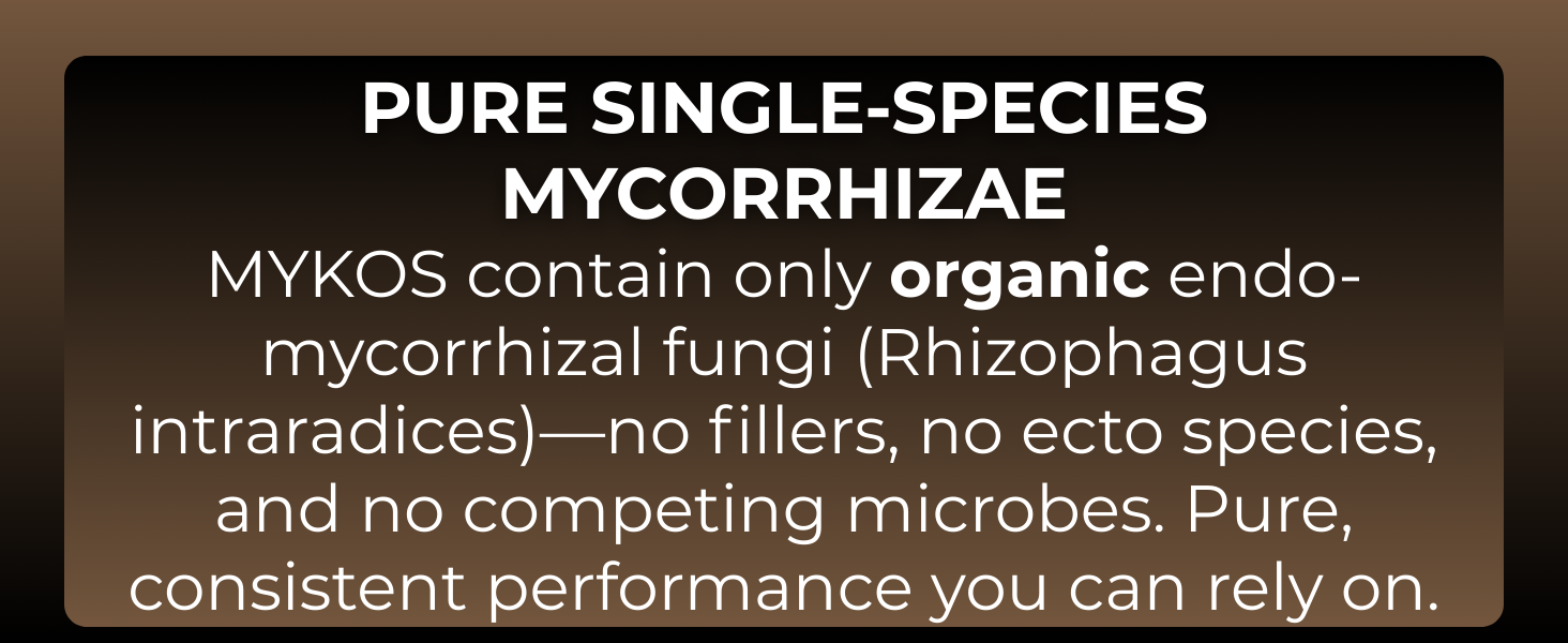 xtreme gardening mycorrhizae mycorrhizal fungi