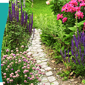 Works on contact, so for the best weed control, thoroughly and uniformly cover undesirable plants.
