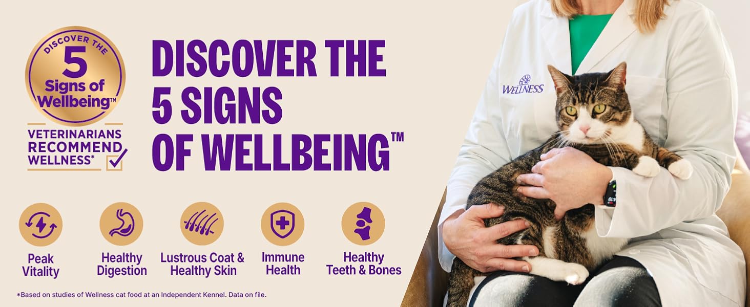 Discover the 5 Signs of Wellbeing