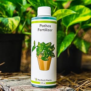 liquid pothos fertilizer