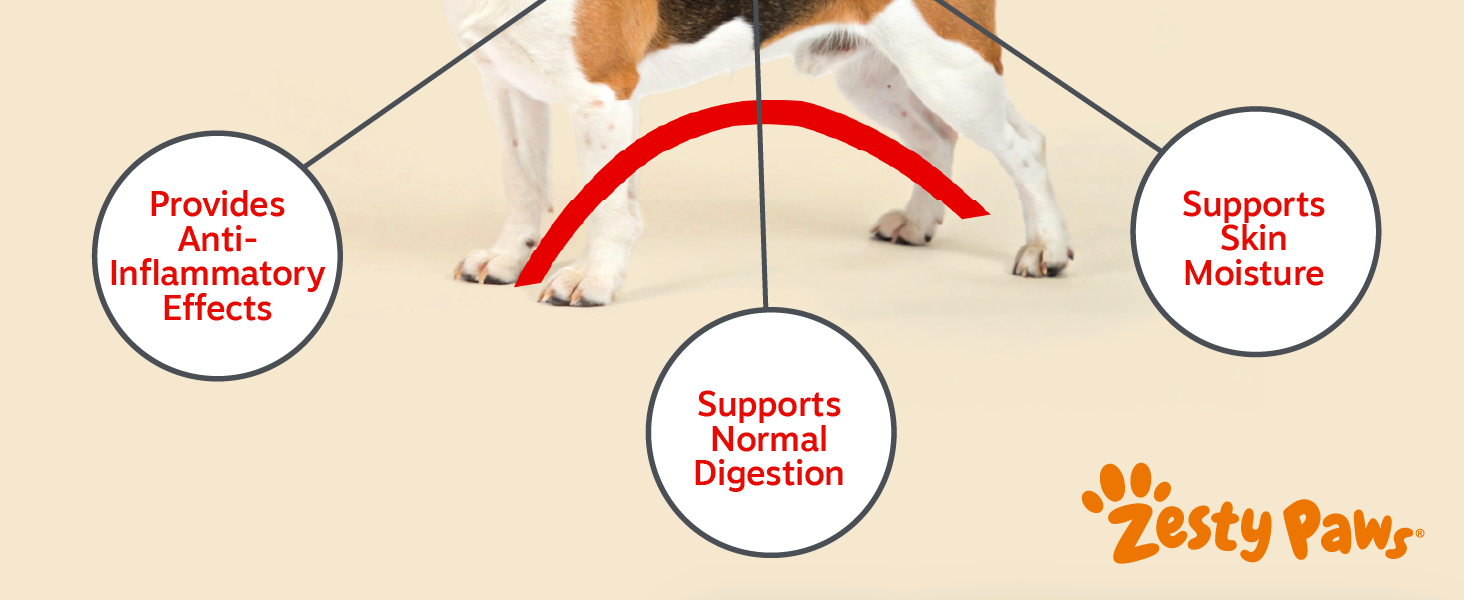 dog allergies