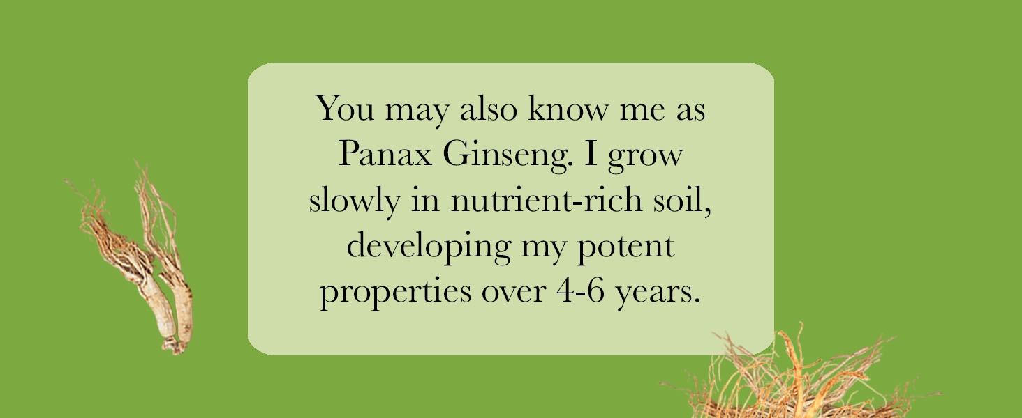 I&amp;#39;m also known as Panax Ginseng. I grow in nutrient-rich soil, developing my potent properties.