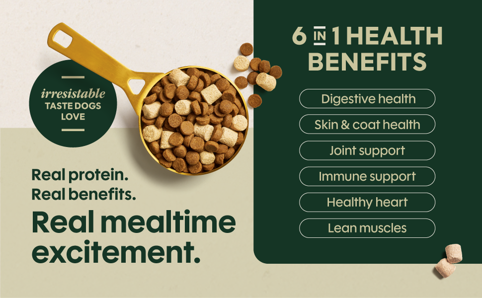 6 in 1 Health Benefits