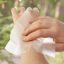 insect repellent wipes
