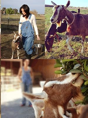 goats