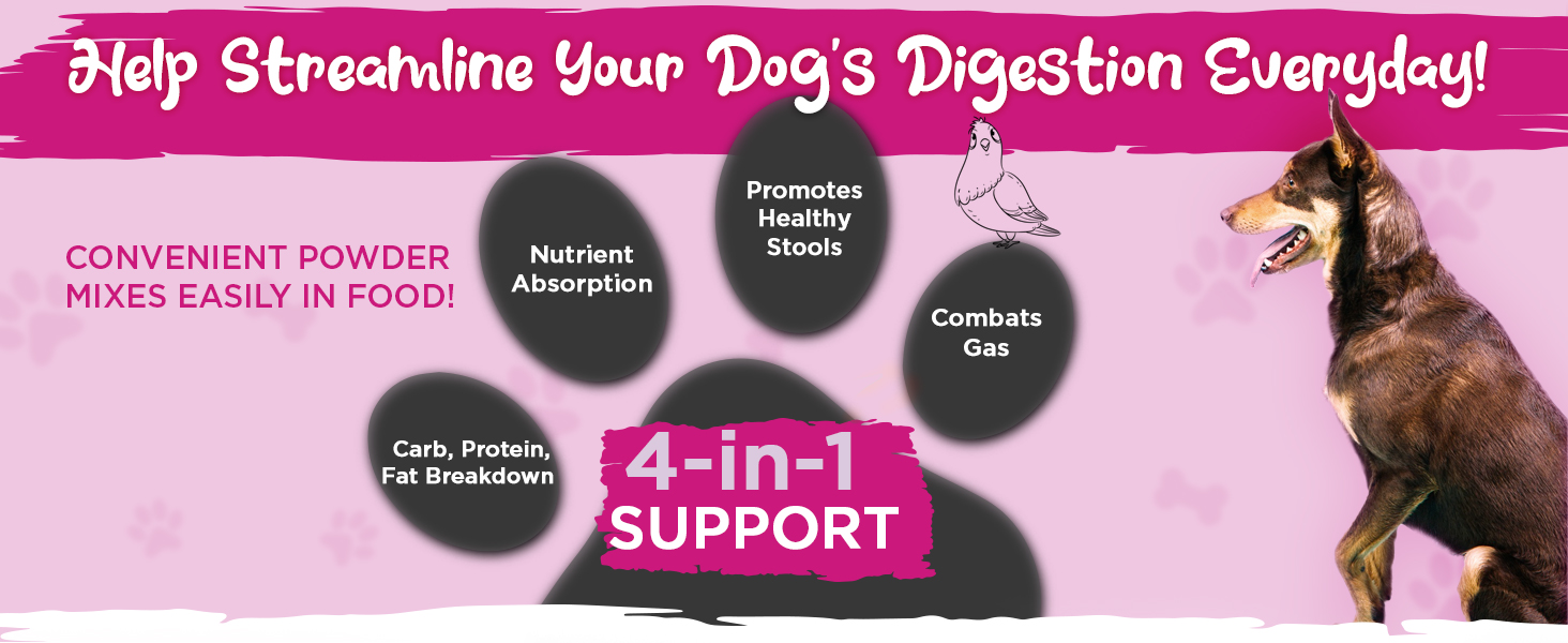 enzymes probiotics prebiotics fiber pumpkin fennel pancreatin digestion pancreas veterinarian