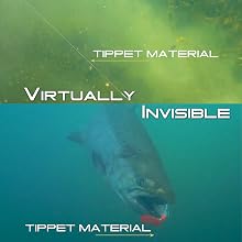 virtually