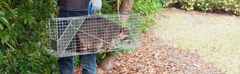 1079 Havahart live animal trap has innovative safety features