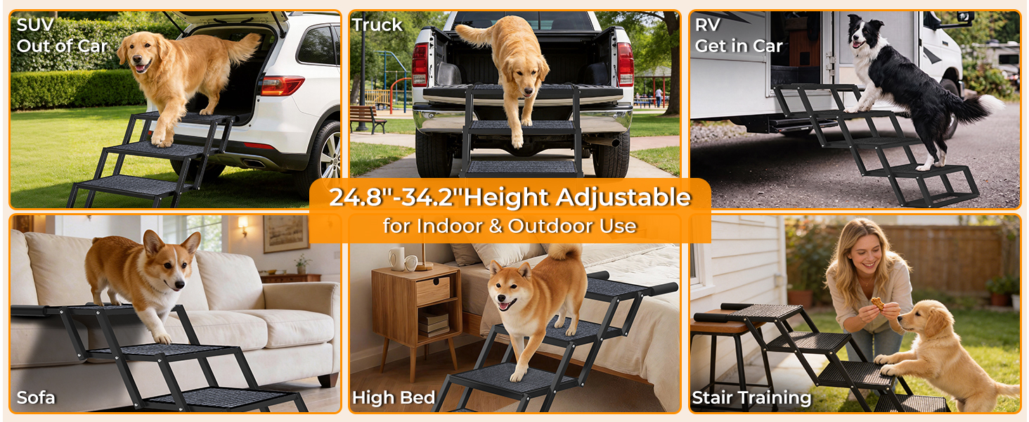 dog ramp for car