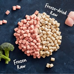 frozen raw food, raw cat food, healthy cat food, freeze dried raw