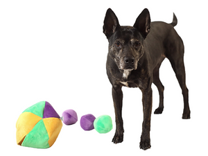 hide a ball puzzle toy