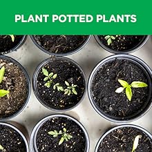 Plant Potted Plants, Bulbs &amp; Vegetables