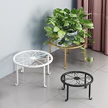 Metal Plant Stands