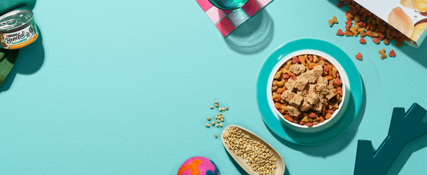 Purina Beneful incrediBites: Top Dry Kibble