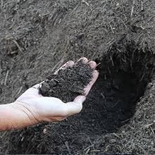 compost
