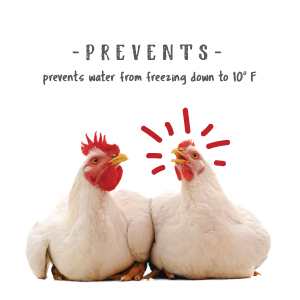 prevents water from freezing down to 10 degrees heated drinker base chicken happy healthy