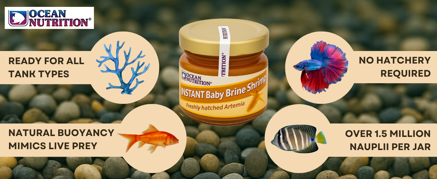 Jar of Instant Baby Brine Shrimp with illustrated fish and coral icons