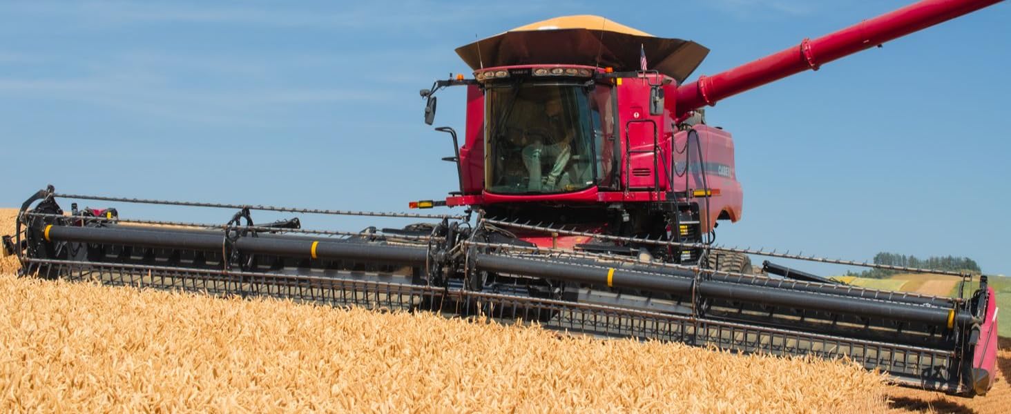 Red Spring Wheat Berries