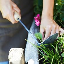 Planting flowers and plants with HOMI