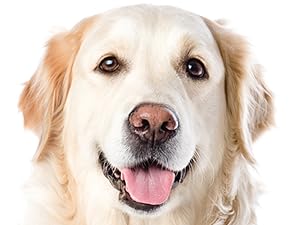 Slippery Elm for Dogs