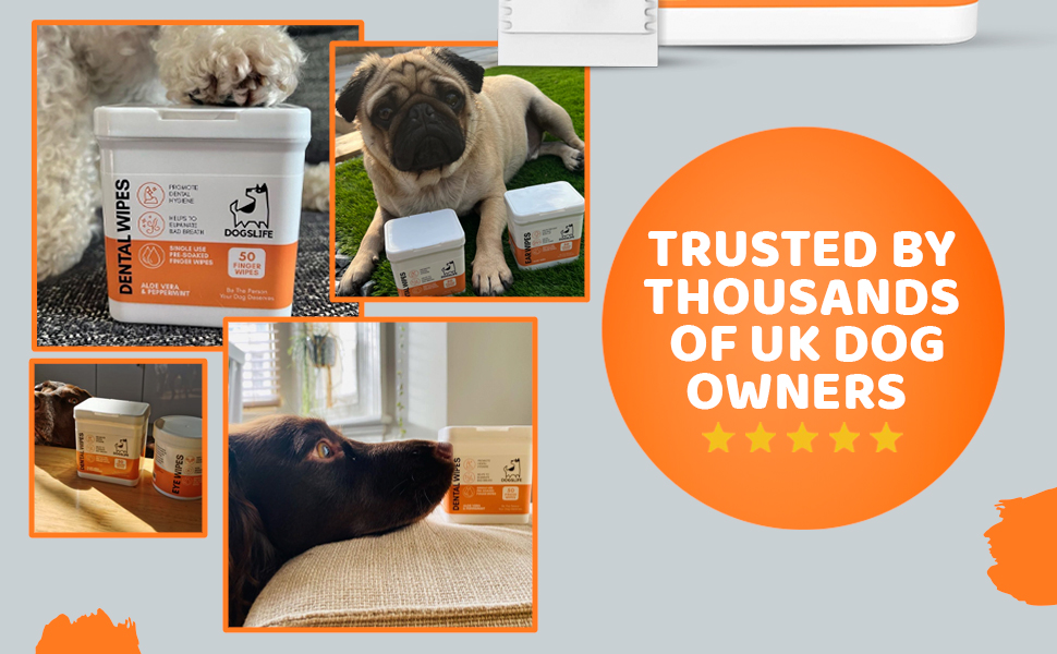 Dog Dental wipes