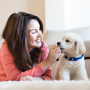 woman, dog, accessories