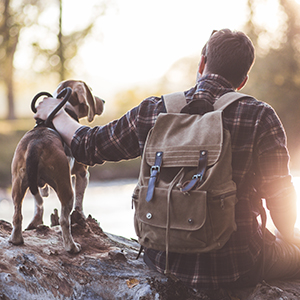 Safe-Guard Canine Dewormer