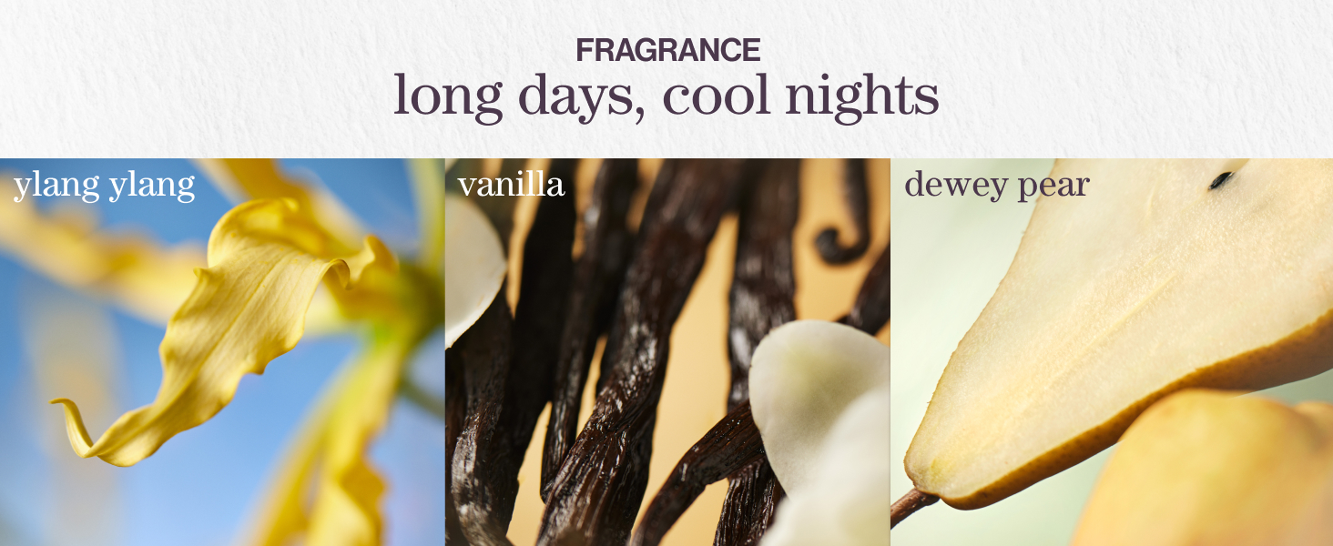 fragrance