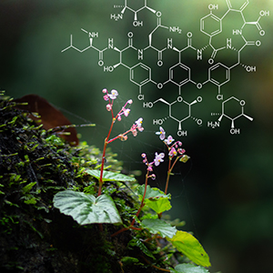 Chemistry &amp; Nature