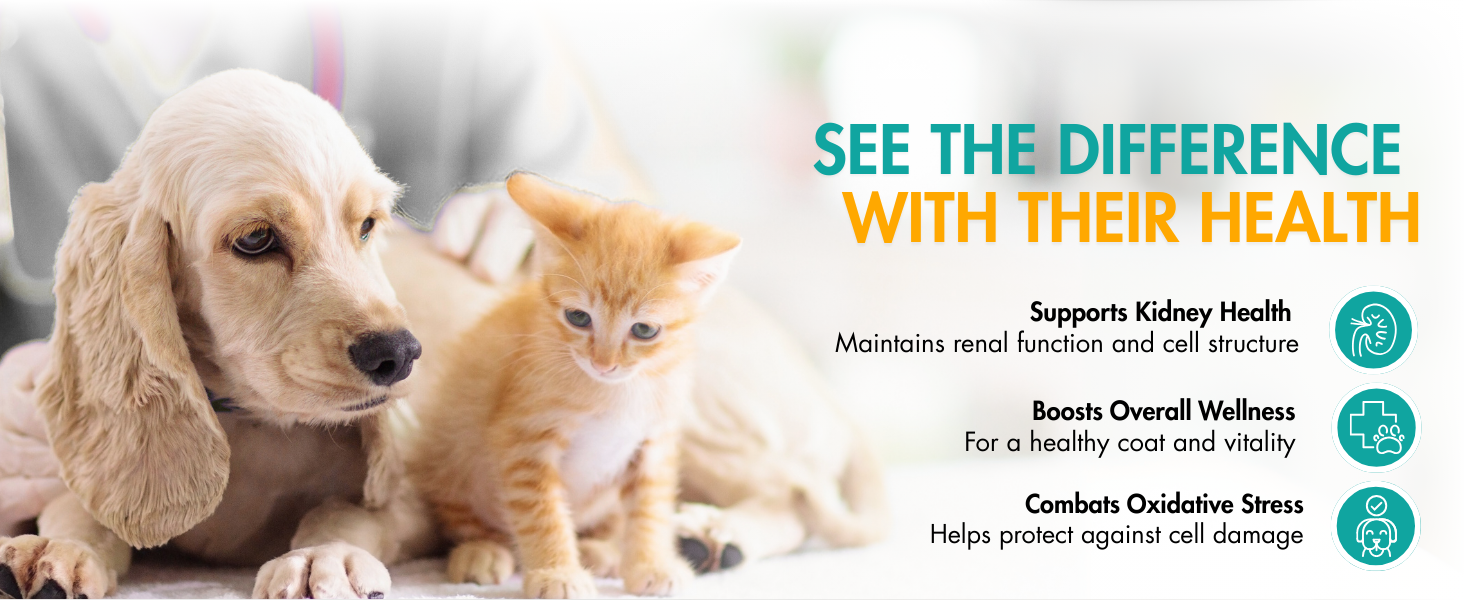 aminavast for cats, aminavast for dogs, cat kidney support, kidney support for cats