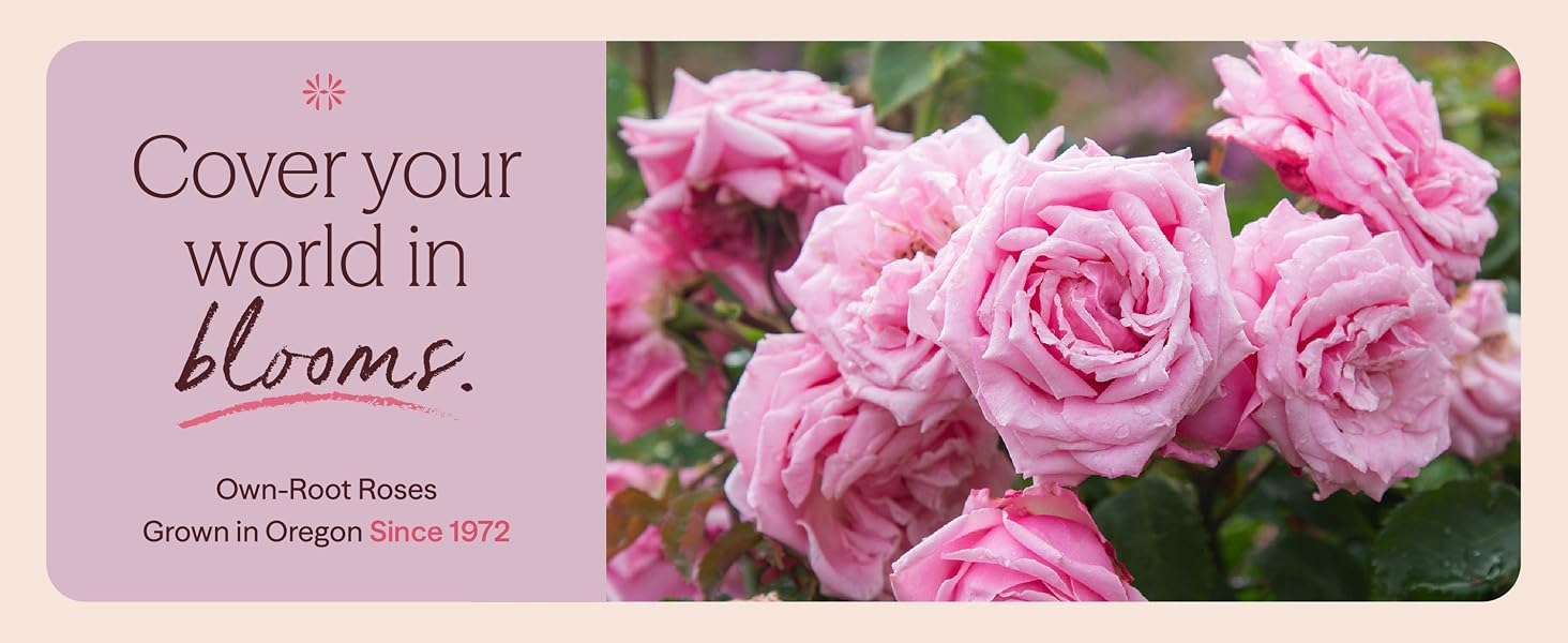 Cover your world in blooms.