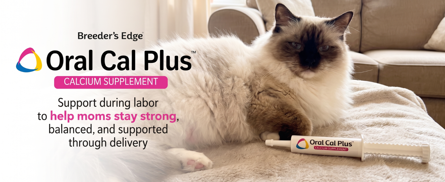 Oral Cal Plus calcium supplement with cat resting beside product syringe