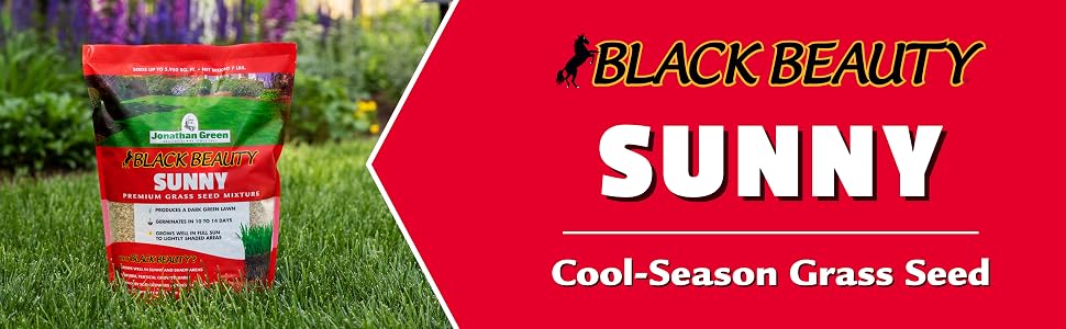 jonathan green black beauty sunny grass seed lawn yard