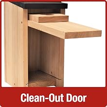 clean out door