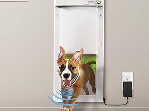 Automatic pet Door