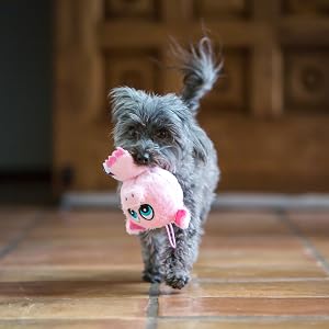 Dog playing with Knobby Noggin Dog Toy