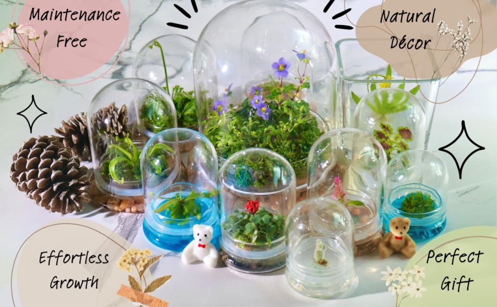 Maintenance Free collection
