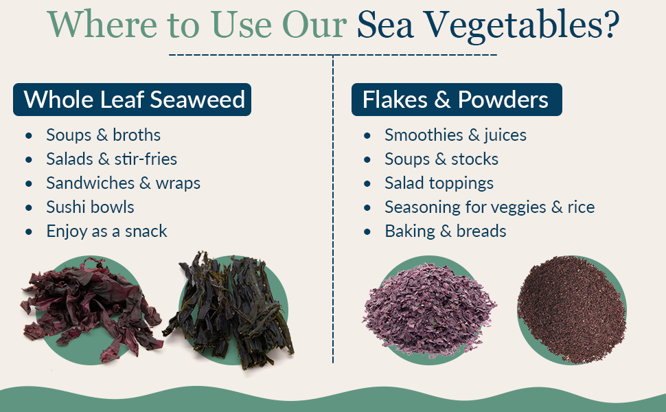 Maine Coast Sea Vegetables
