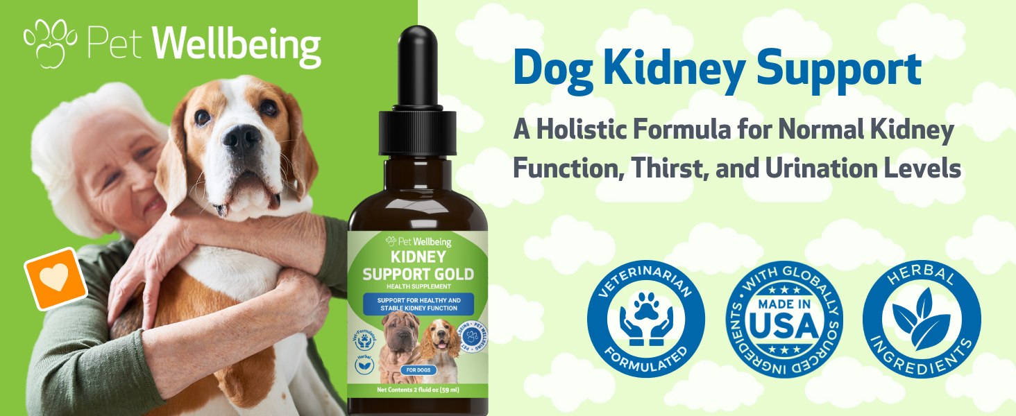 Kidney support gold, normal kidney function, healthy thirst and urination levels, holistic formula