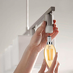 led filament light bulbs