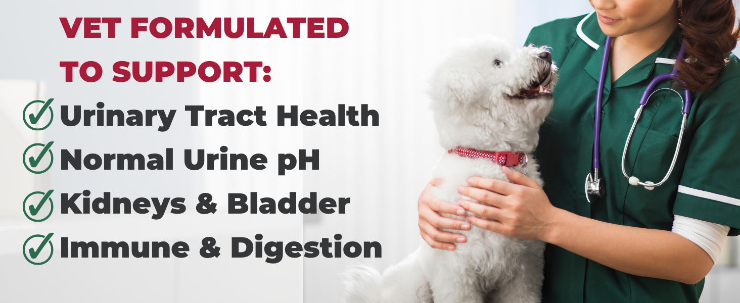Vet formulated dog supplement supporting urinary tract health kidneys and bladder