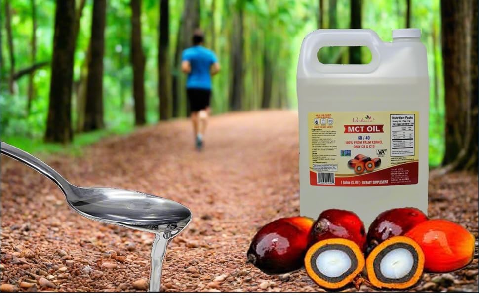 verdana-palm-mct-1-gallon