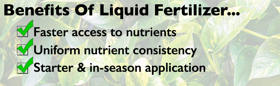 liquid fertilizer for house indoor plants flowering shrubs food