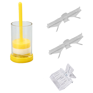 beekeeping tools